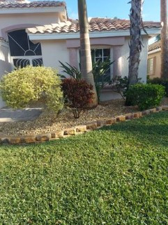 landscape-service-tree-services-in-west-palm-beach-big-0