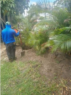 landscape-service-tree-services-in-west-palm-beach-big-1