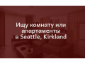 ishhem-zile-komnata-ili-apartamenty-v-sietle-kerklande-small-0