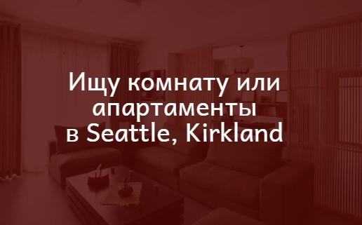 ishhem-zile-komnata-ili-apartamenty-v-sietle-kerklande-big-0