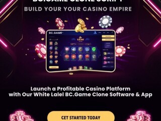 Build a Successful Crypto Casino with a BC.Game Clone App